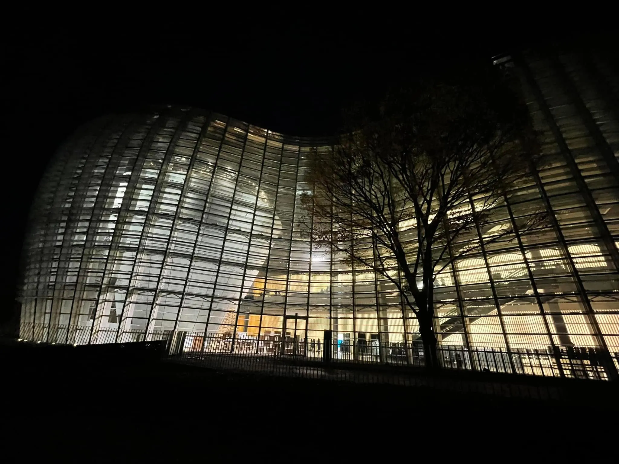 The 14th Dynamic Contemporary Artists Exhibition — 4